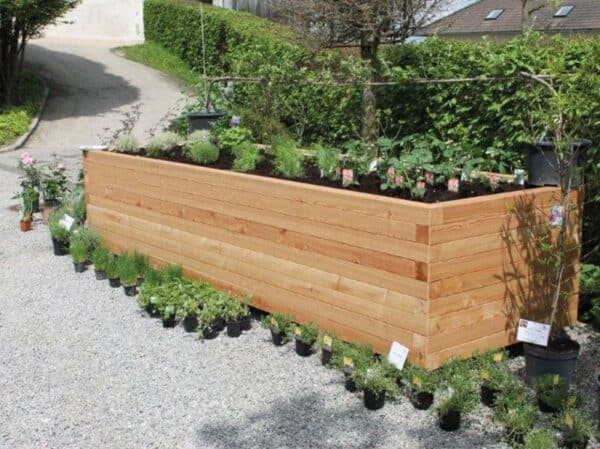Hochbeet "dicke Berta" 100x400