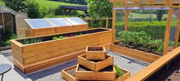 Tomaten-Paradies – Bild 30