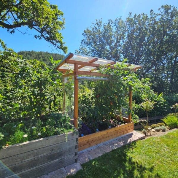 Tomaten-Paradies – Bild 31